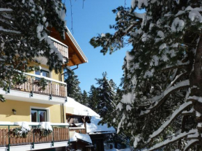 Гостиница Almhaus Blümel  Туррахерхёэ